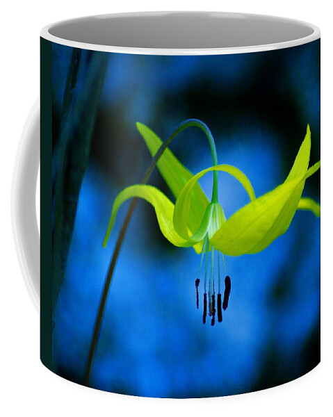 Flower Coffee Mug featuring the photograph Beauty and Grace by Ben Upham III