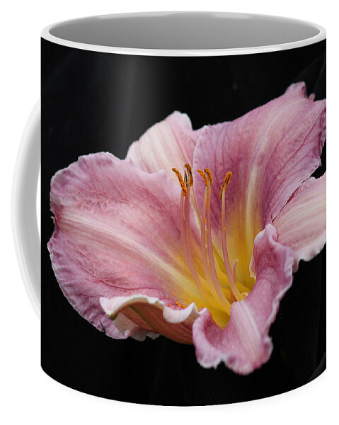 Floral Coffee Mug featuring the photograph Beauty for Just a Day by E Faithe Lester