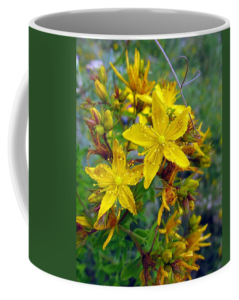 Flowers Coffee Mug featuring the photograph Beauty in a weed by I'ina Van Lawick