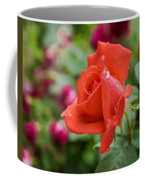 Red Coffee Mug featuring the photograph Beauty in Red by Bill Pevlor