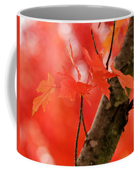 Red Coffee Mug featuring the photograph Beauty of Red by Viviana Nadowski