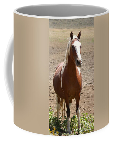 Horse Coffee Mug featuring the photograph Beauty by Veronica Batterson
