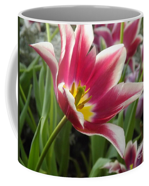 Flower Coffee Mug featuring the photograph Beauty Within by Lingfai Leung