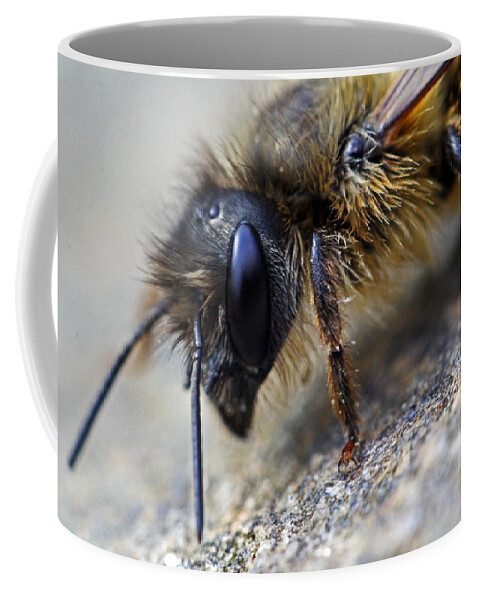 Insects Coffee Mug featuring the photograph Bee Careful by Jennifer Robin