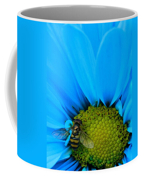 Oregon Coffee Mug featuring the photograph Bee on blue daisy by Gallery Of Hope 