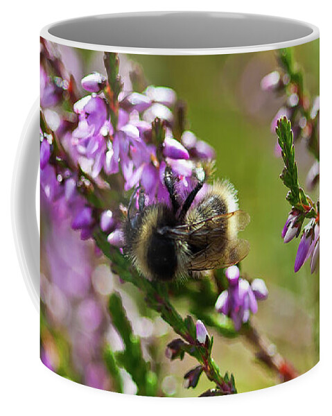 Animal Coffee Mug featuring the photograph Bee on heather by Roberto Pagani