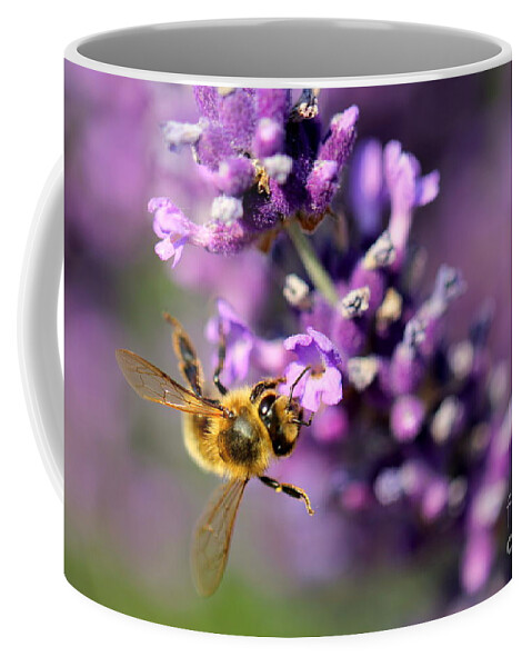 Bee Coffee Mug featuring the photograph Bee on the Lavender Branch by Amanda Mohler