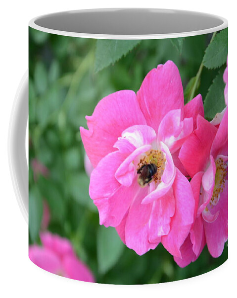Bee Coffee Mug featuring the photograph Bee Rosy by Laurel Best