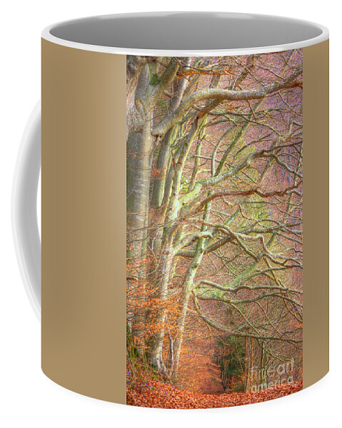 Beech Coffee Mug featuring the photograph Beech Forest by Gina Koch
