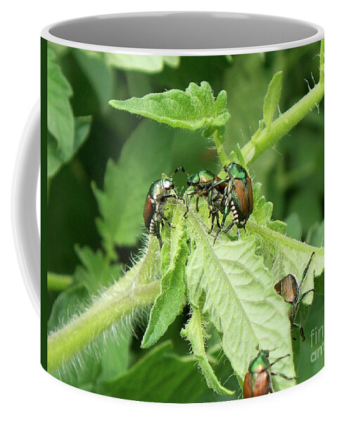 Beetles Coffee Mug featuring the photograph Beetle Posse by Thomas Woolworth