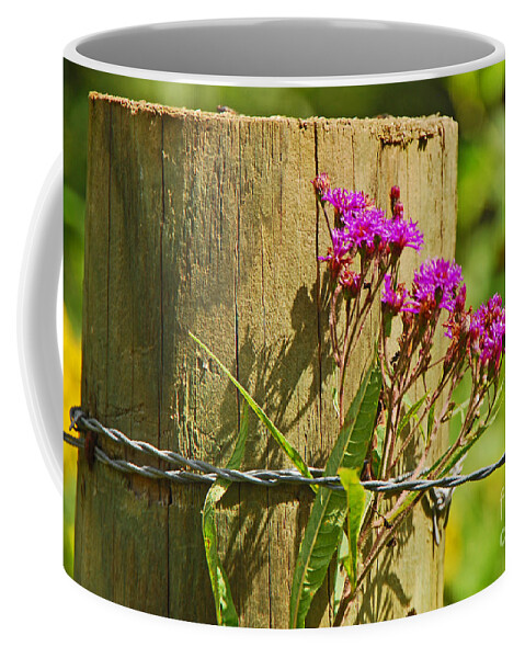 Landscape Coffee Mug featuring the photograph Behind The Fence by Mary Carol Story
