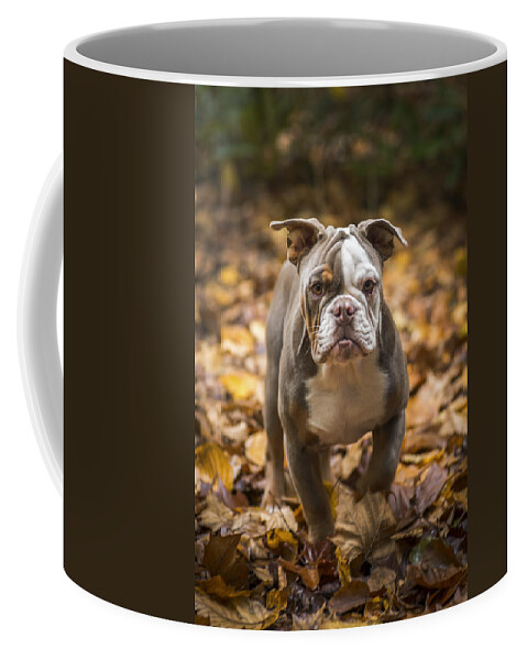 Autumn Coffee Mug featuring the photograph Bella by Joye Ardyn Durham