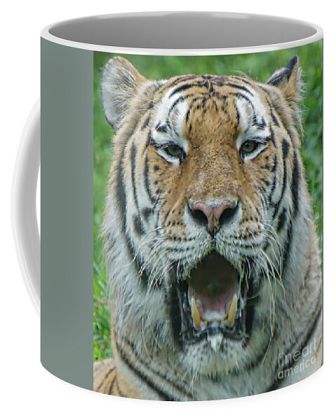 Bengal Tiger Coffee Mug featuring the photograph Bengal by Lilliana Mendez
