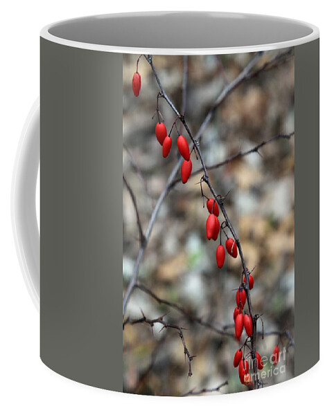 Red Coffee Mug featuring the photograph Berries by Rick Rauzi