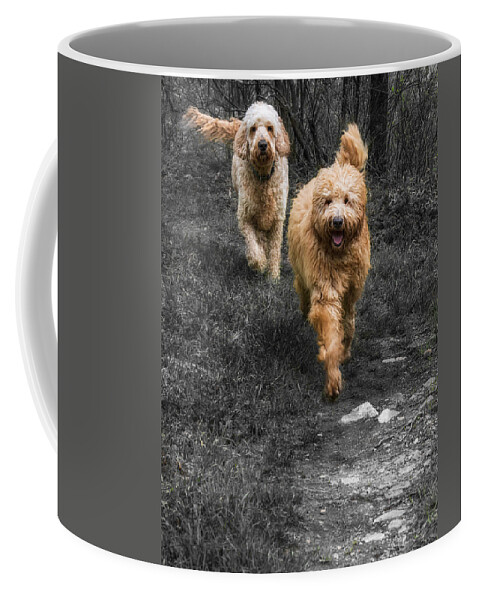 Dogs Coffee Mug featuring the photograph Best Buds by David Kay