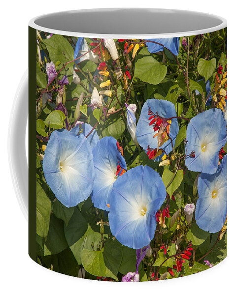 Scenic Coffee Mug featuring the photograph Bhubing Palace Gardens Morning Glory DTHCM0433 by Gerry Gantt