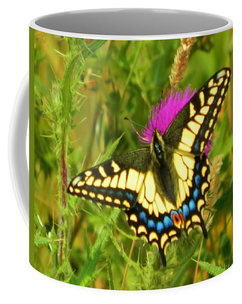 Landscape Coffee Mug featuring the photograph Big Beautiful Butterfly by Gallery Of Hope 