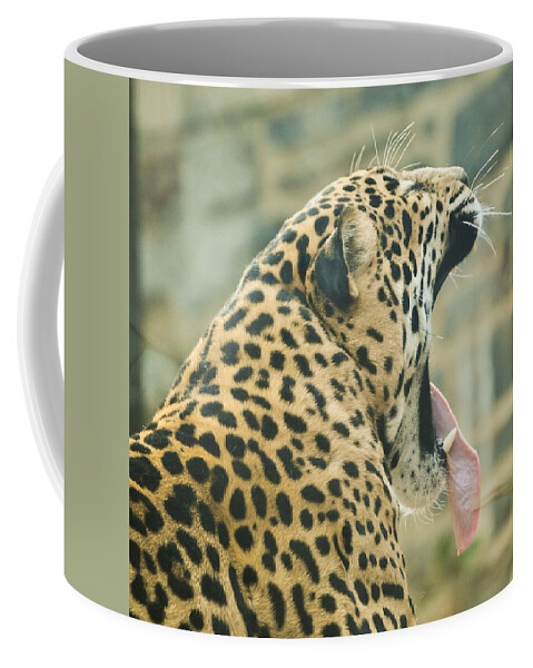 Cat Coffee Mug featuring the mixed media Big Yawn by Trish Tritz