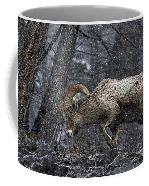 Bighorn Sheep Coffee Mug featuring the photograph Bighorn Caught In A Blizzard by Athena Mckinzie