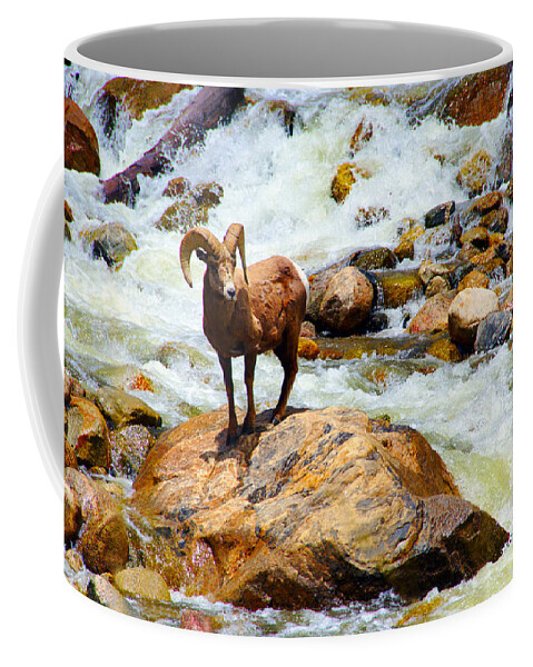 Bighorn Coffee Mug featuring the photograph Bighorn in a Waterfall by Tranquil Light Photography