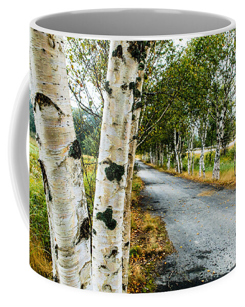 Birch Coffee Mug featuring the photograph Birch Tree Lane by Ben Graham