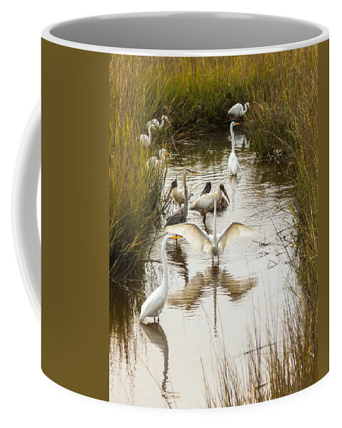 Lowcountry Coffee Mug featuring the photograph Bird Brunch 2 by Patricia Schaefer
