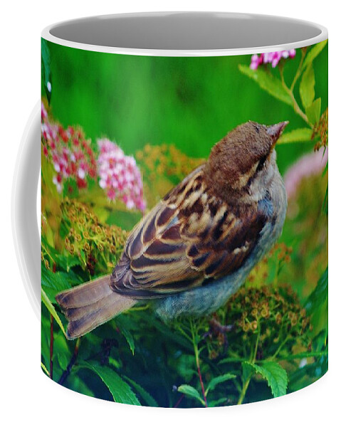 Bird Coffee Mug featuring the photograph Bird In The Bush by Daniel Thompson