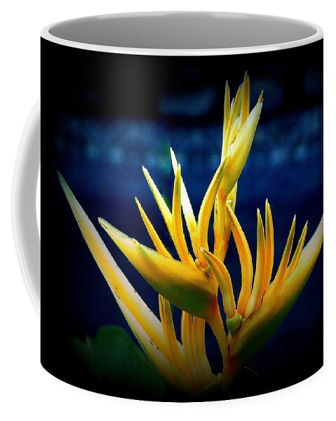 Flower Coffee Mug featuring the photograph Bird of Paradise - Variant by Lori Seaman