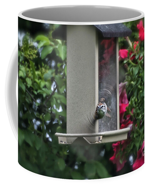 Animals Coffee Mug featuring the photograph Bird Time To Fly by Thomas Woolworth