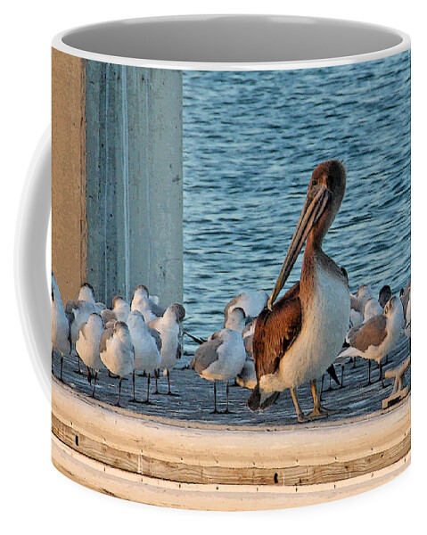Brown Pelican Coffee Mug featuring the photograph Birds - Among Friends by HH Photography of Florida