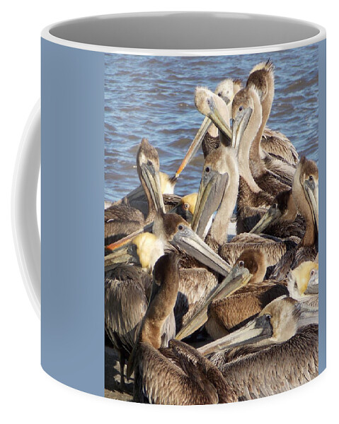 Pelicans Coffee Mug featuring the photograph Birds of a Feather by John Glass