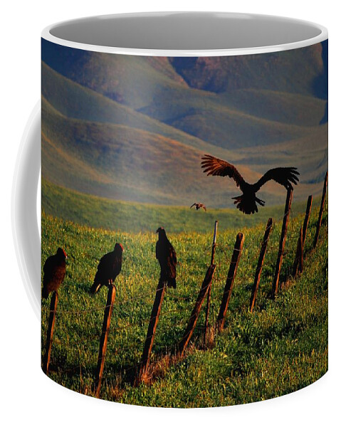 Birds Coffee Mug featuring the photograph Birds on a Fence by Matt Quest