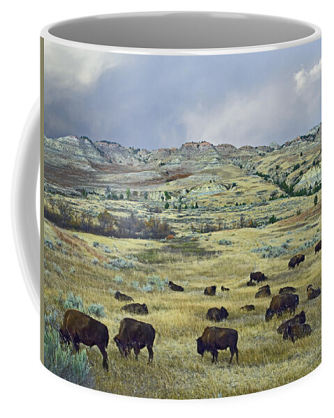 Feb0514 Coffee Mug featuring the photograph Bison Herd On Praire Theodore Roosevelt by Tim Fitzharris
