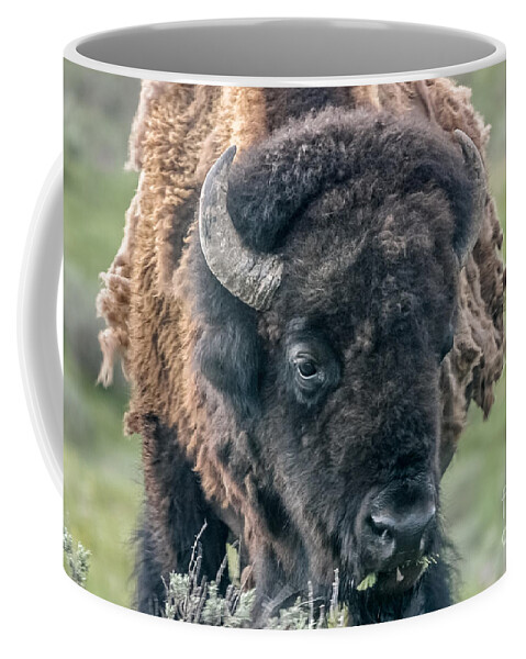 Bison Coffee Mug featuring the photograph Bison Portrait by Al Andersen