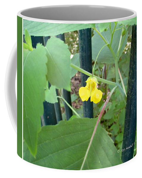  Yellow Coffee Mug featuring the photograph Bisset Park Jewel by Kendall Kessler