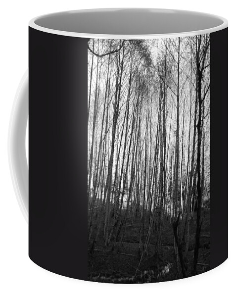 Birch Coffee Mug featuring the photograph Black and White Birch Stand by Michael Merry