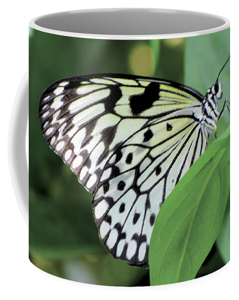 Butterfly Coffee Mug featuring the digital art Black and White Butterfly by Bob Slitzan