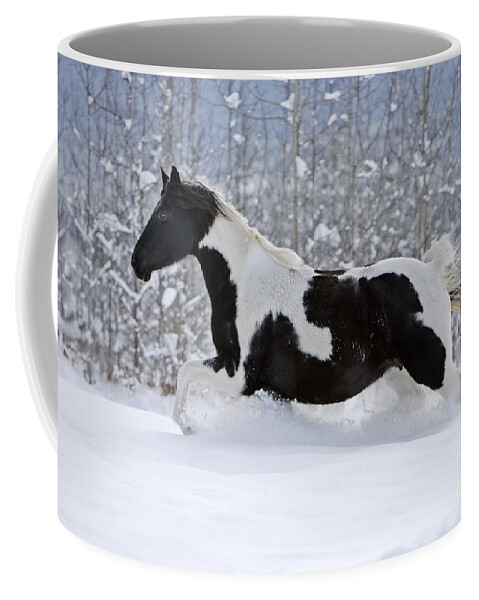 Black And White Coffee Mug featuring the photograph Black And White Paint Horse In Snow by Rolf Kopfle