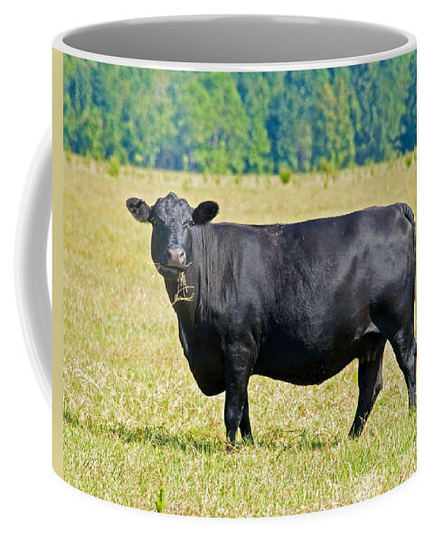 Animal Coffee Mug featuring the photograph Black Angus Cattle by Millard H. Sharp