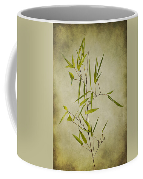 Clare Bambers Coffee Mug featuring the photograph Black Bamboo Stem. by Clare Bambers