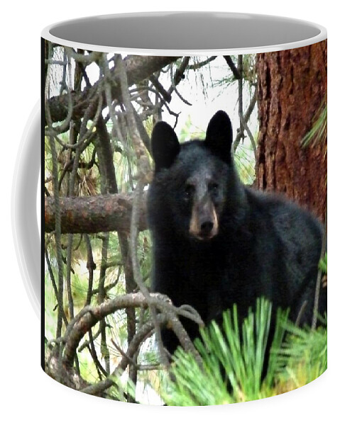 Black Bear Coffee Mug featuring the photograph Black Bear 1 by Will Borden