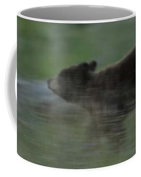 Black Bear Coffee Mug featuring the photograph Black Bear Cub by Frank Madia