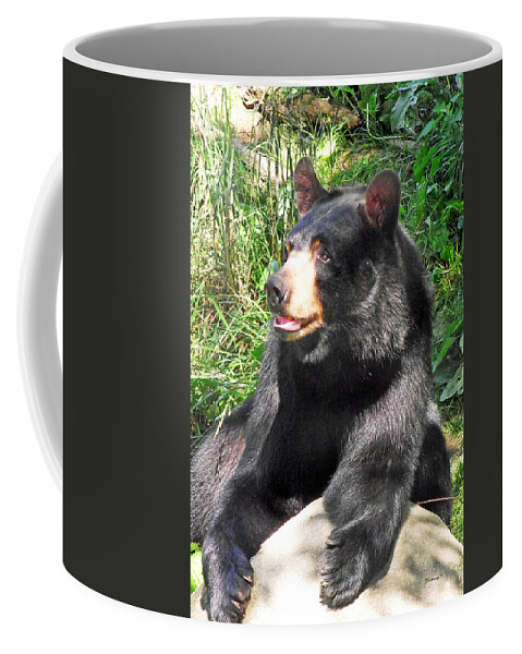 Duane Mccullough Coffee Mug featuring the photograph Black Bear by Duane McCullough