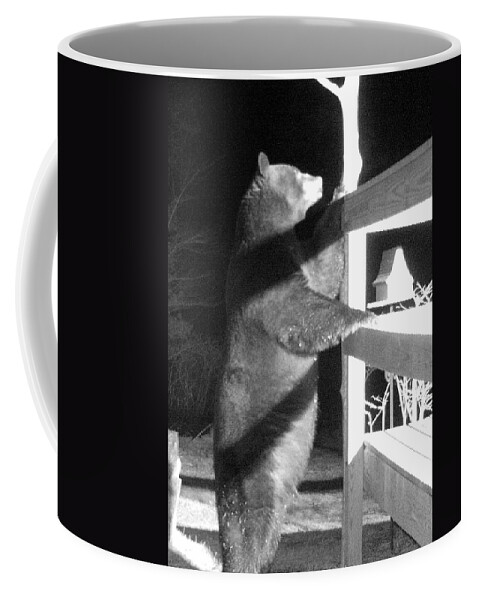 Bear Coffee Mug featuring the photograph Black Bear by Mim White