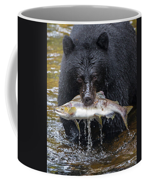 Black Bear Coffee Mug featuring the photograph Black Bear with Salmon by Max Waugh