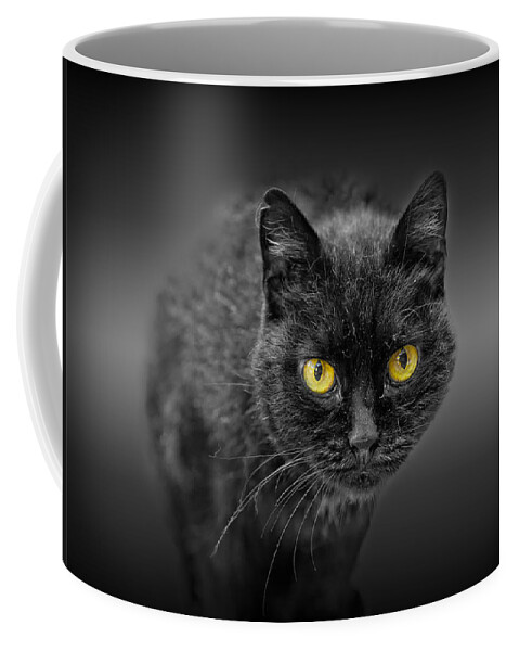 Animal Coffee Mug featuring the photograph Black Cat by Peter Lakomy