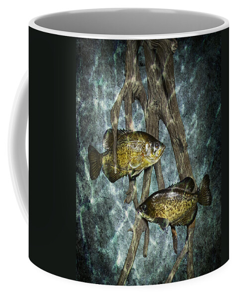 Art Coffee Mug featuring the photograph Black Crappies a Fish Image No 0143 Blue version by Randall Nyhof