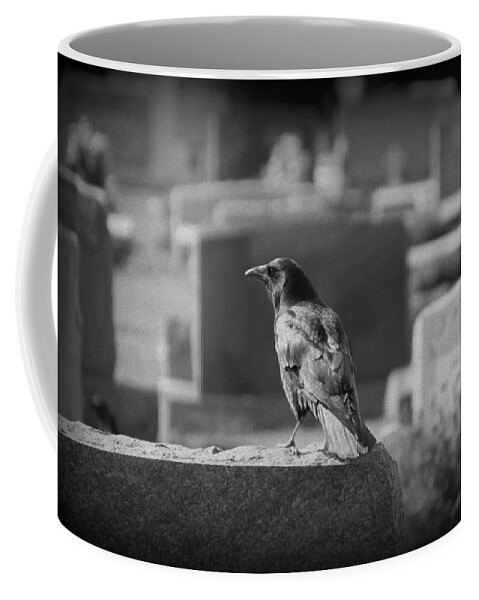 Crow Coffee Mug featuring the photograph Black Crow on Grave Stone by Valerie Collins