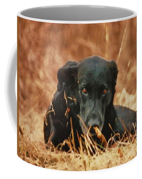 Black Labrador Coffee Mug featuring the photograph Black Labrador by Linda Sannuti