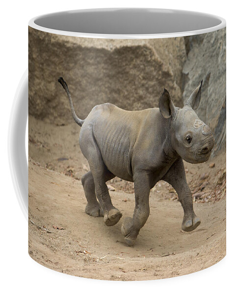 San Diego Zoo Coffee Mug featuring the photograph Black Rhinoceros Calf Running by San Diego Zoo